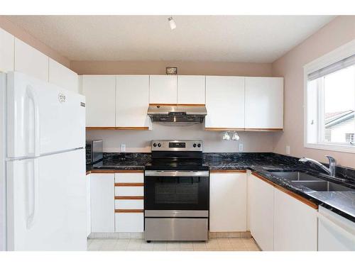 152 Martin Crossing Crescent Ne, Calgary, AB - Indoor Photo Showing Kitchen With Double Sink