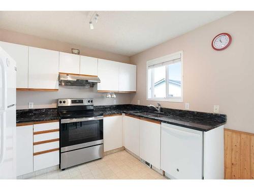 152 Martin Crossing Crescent Ne, Calgary, AB - Indoor Photo Showing Kitchen With Double Sink