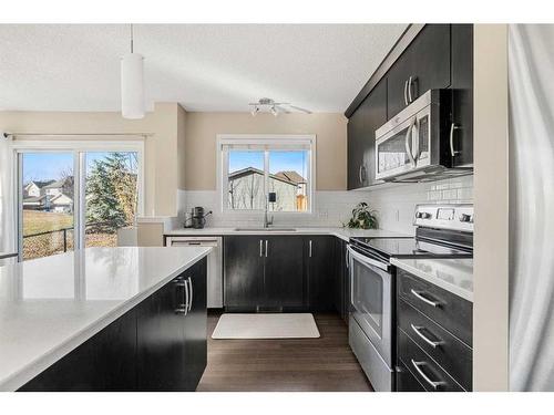 146 Cranford Way Se, Calgary, AB - Indoor Photo Showing Kitchen With Upgraded Kitchen