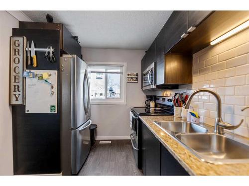 3607 28A Avenue Se, Calgary, AB - Indoor Photo Showing Kitchen With Double Sink