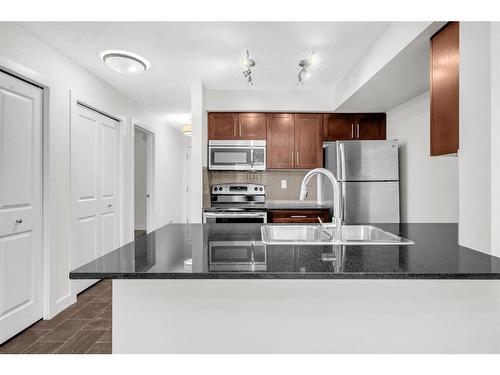 4112-1317 27 Street Se, Calgary, AB - Indoor Photo Showing Kitchen With Double Sink