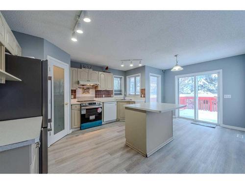 84 Douglas Glen Crescent Se, Calgary, AB - Indoor Photo Showing Kitchen With Stainless Steel Kitchen