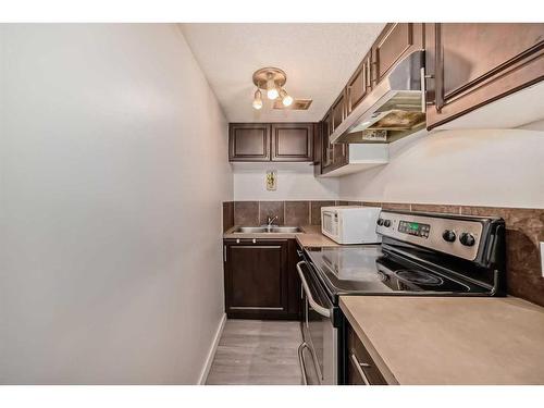 164 Skyview Springs Gardens Ne, Calgary, AB - Indoor Photo Showing Kitchen With Double Sink