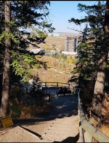 103 Waterloo Drive Sw, Calgary, AB - Outdoor With View