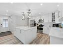 302 Adams Crescent Se, Calgary, AB  - Indoor Photo Showing Kitchen With Stainless Steel Kitchen With Upgraded Kitchen 