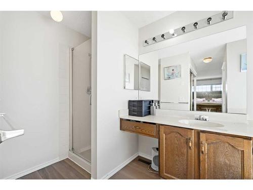 173 Coral Sands Place Ne, Calgary, AB - Indoor Photo Showing Bathroom