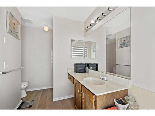 173 Coral Sands Place Ne, Calgary, AB - Indoor Photo Showing Bathroom