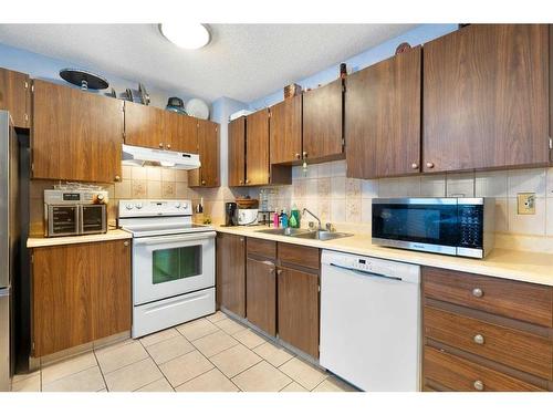 161-20 Falbury Crescent Ne, Calgary, AB - Indoor Photo Showing Kitchen With Double Sink