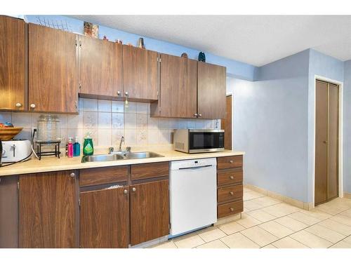 161-20 Falbury Crescent Ne, Calgary, AB - Indoor Photo Showing Kitchen With Double Sink