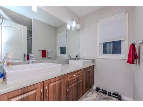 17 Red Embers Row Ne, Calgary, AB - Indoor Photo Showing Bathroom