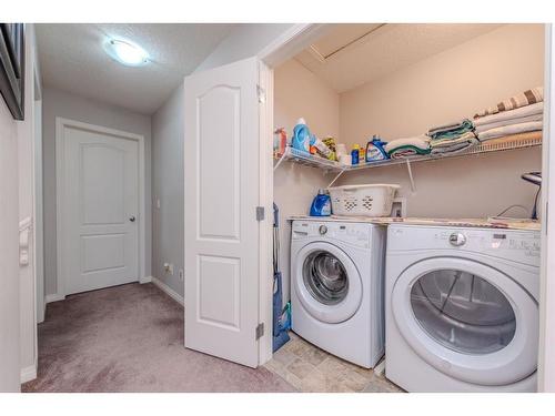 17 Red Embers Row Ne, Calgary, AB - Indoor Photo Showing Laundry Room