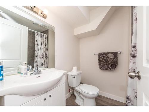 17 Red Embers Row Ne, Calgary, AB - Indoor Photo Showing Bathroom