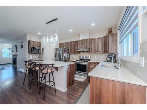 17 Red Embers Row Ne, Calgary, AB - Indoor Photo Showing Kitchen With Double Sink With Upgraded Kitchen