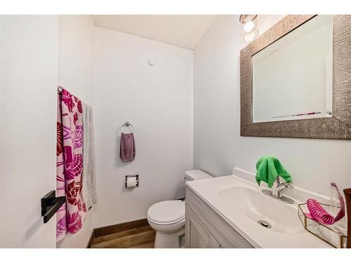 252 And 254 Midridge Place Se, Calgary, AB - Indoor Photo Showing Bathroom