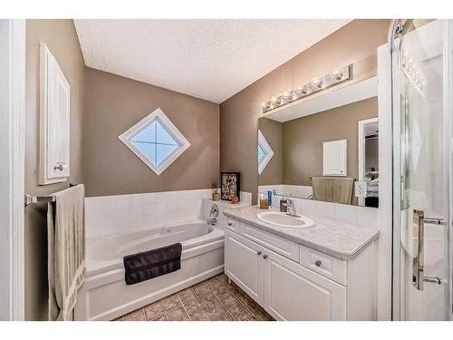 19 Mt Mckenzie Way Se, Calgary, AB - Indoor Photo Showing Bathroom