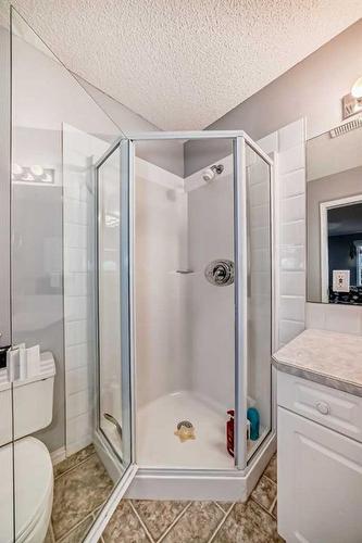 19 Mt Mckenzie Way Se, Calgary, AB - Indoor Photo Showing Bathroom