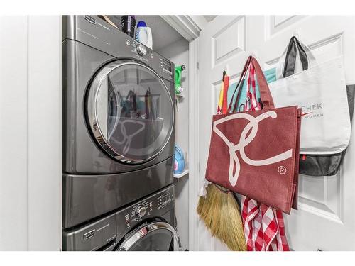 4101-755 Copperpond Boulevard Se, Calgary, AB - Indoor Photo Showing Laundry Room