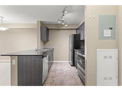 316-15 Saddlestone Way Ne, Calgary, AB - Indoor Photo Showing Kitchen With Double Sink