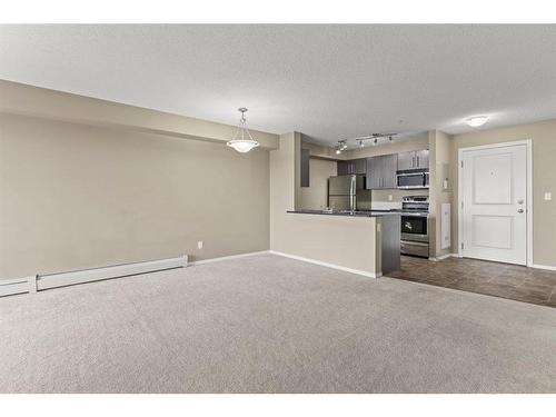 316-15 Saddlestone Way Ne, Calgary, AB - Indoor Photo Showing Kitchen