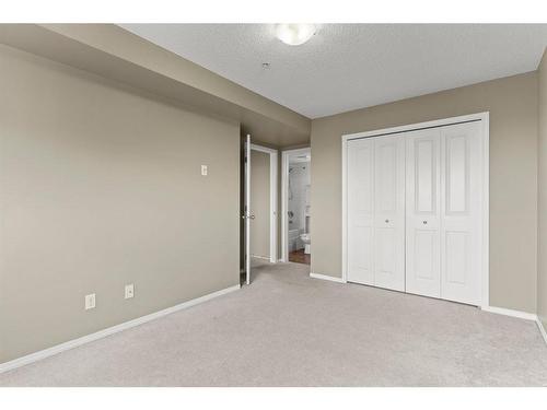 316-15 Saddlestone Way Ne, Calgary, AB - Indoor