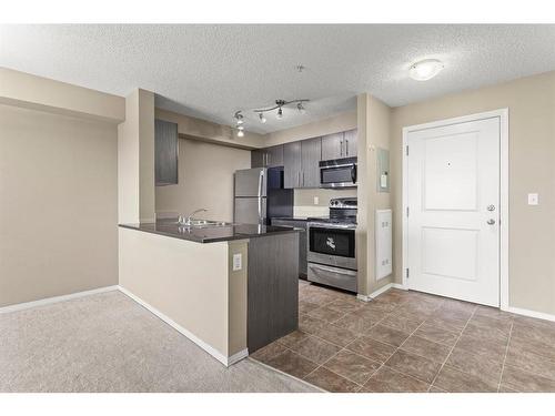 316-15 Saddlestone Way Ne, Calgary, AB - Indoor Photo Showing Kitchen With Stainless Steel Kitchen