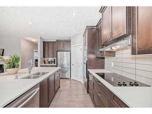 21 Sherwood Street Nw, Calgary, AB - Indoor Photo Showing Kitchen With Double Sink With Upgraded Kitchen