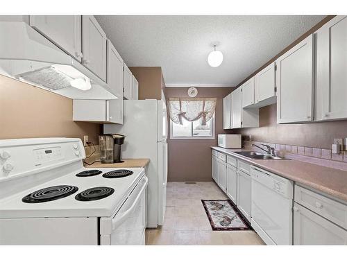 8636 47 Avenue Nw, Calgary, AB - Indoor Photo Showing Kitchen With Double Sink