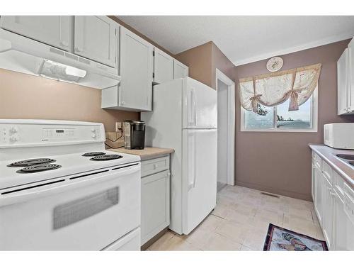 8636 47 Avenue Nw, Calgary, AB - Indoor Photo Showing Kitchen