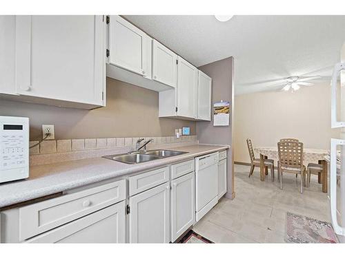 8636 47 Avenue Nw, Calgary, AB - Indoor Photo Showing Kitchen With Double Sink