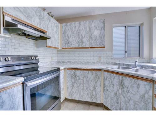 9029 21 Street Se, Calgary, AB - Indoor Photo Showing Kitchen With Double Sink