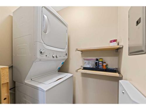 2107-70 Panamount Drive Nw, Calgary, AB - Indoor Photo Showing Laundry Room