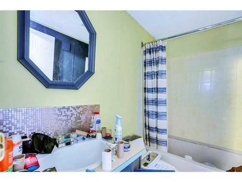 210 Erin Woods Circle Ne, Calgary, AB - Indoor Photo Showing Bathroom