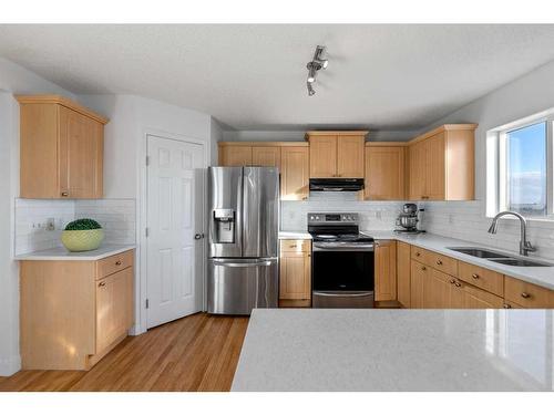 250 Covemeadow Crescent Ne, Calgary, AB - Indoor Photo Showing Kitchen With Double Sink