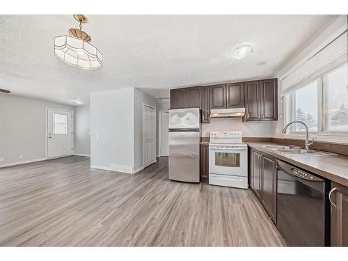 43 Castleridge Way Ne, Calgary, AB - Indoor Photo Showing Kitchen With Double Sink