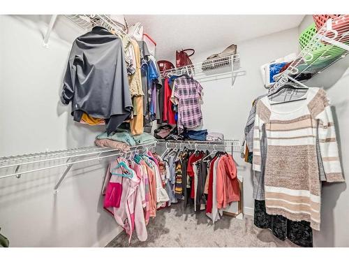 173 Savanna Passage Ne, Calgary, AB - Indoor With Storage