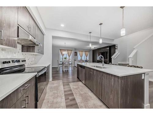 173 Savanna Passage Ne, Calgary, AB - Indoor Photo Showing Kitchen With Double Sink With Upgraded Kitchen