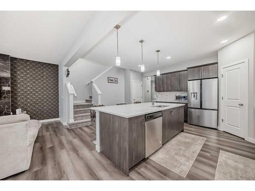 173 Savanna Passage Ne, Calgary, AB - Indoor Photo Showing Kitchen