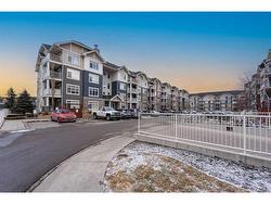 4209-155 skyview ranch Way NE Calgary, AB T3N 0L4