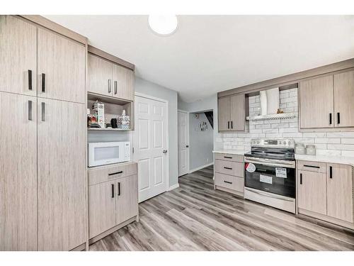 195 Castleridge Drive Ne, Calgary, AB - Indoor Photo Showing Kitchen