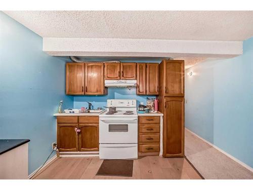 195 Castleridge Drive Ne, Calgary, AB - Indoor Photo Showing Kitchen