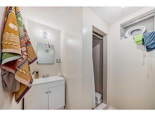 195 Castleridge Drive Ne, Calgary, AB - Indoor Photo Showing Bathroom