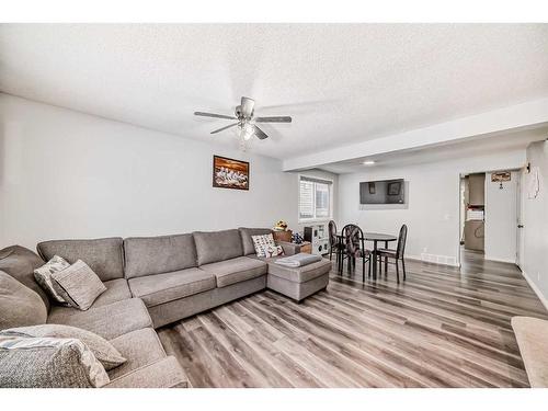 195 Castleridge Drive Ne, Calgary, AB - Indoor Photo Showing Living Room