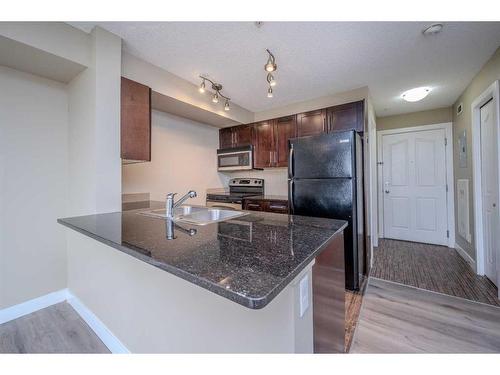 309-355 Taralake Way Ne, Calgary, AB - Indoor Photo Showing Kitchen With Double Sink