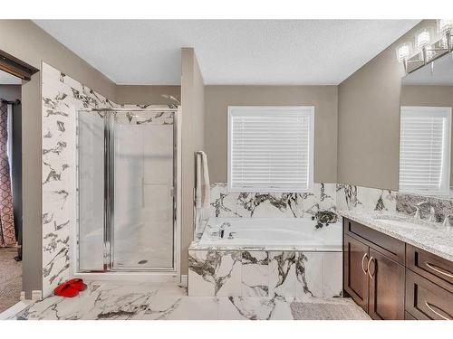 127 Brightoncrest Rise Se, Calgary, AB - Indoor Photo Showing Bathroom