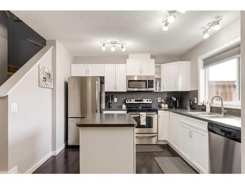 1233 New Brighton Drive Se, Calgary, AB - Indoor Photo Showing Kitchen With Double Sink