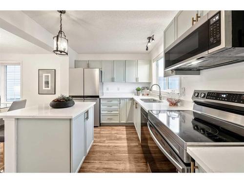 25 Elgin Mews Se, Calgary, AB - Indoor Photo Showing Kitchen With Double Sink With Upgraded Kitchen