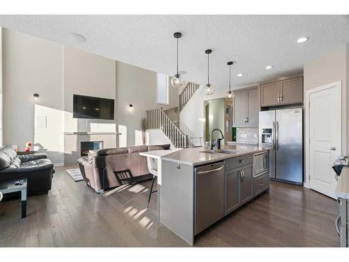 39 Chaparral Valley Way Se, Calgary, AB - Indoor Photo Showing Kitchen With Stainless Steel Kitchen With Upgraded Kitchen