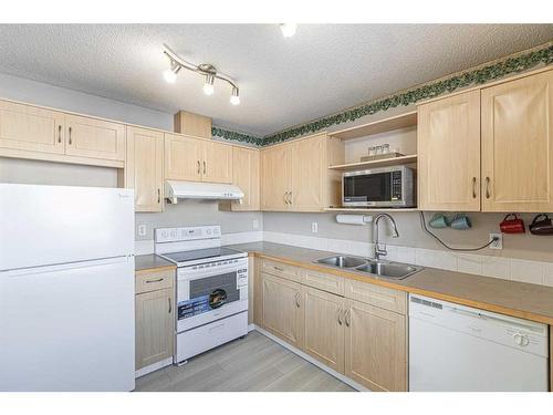 17-111 Tarawood Lane Ne, Calgary, AB - Indoor Photo Showing Kitchen With Double Sink