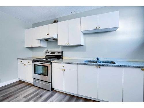 178 Martinridge Crescent Ne, Calgary, AB - Indoor Photo Showing Kitchen With Double Sink