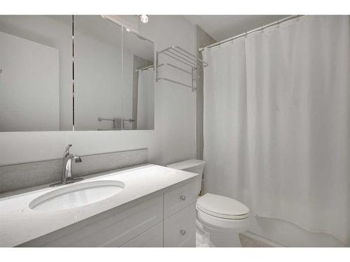 14136 Park Estates Drive Se, Calgary, AB - Indoor Photo Showing Bathroom